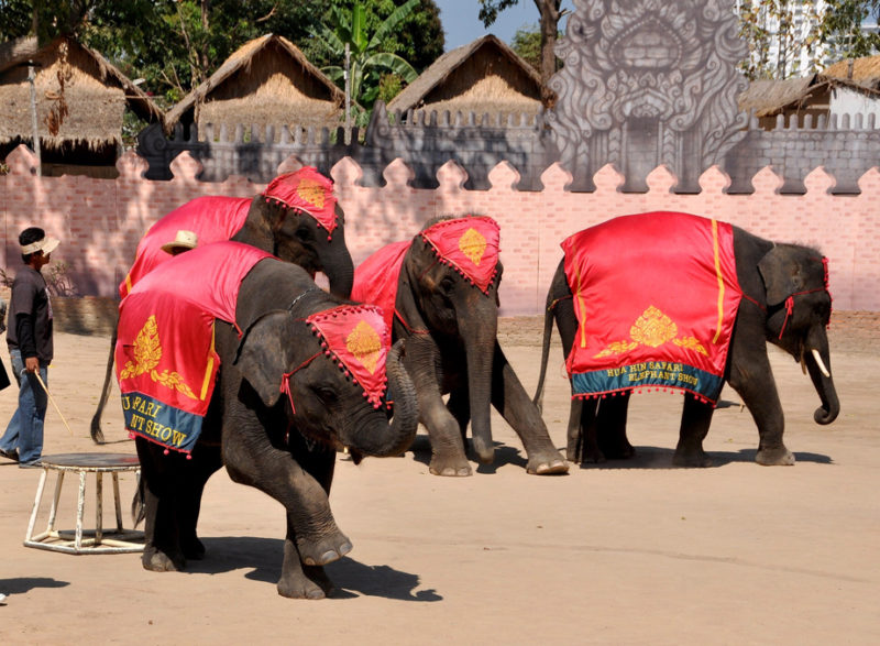 Weather and climate for a trip to Thailand: When is the best time to go? Weather and climate for a trip to Thailand: When is the best time to go?