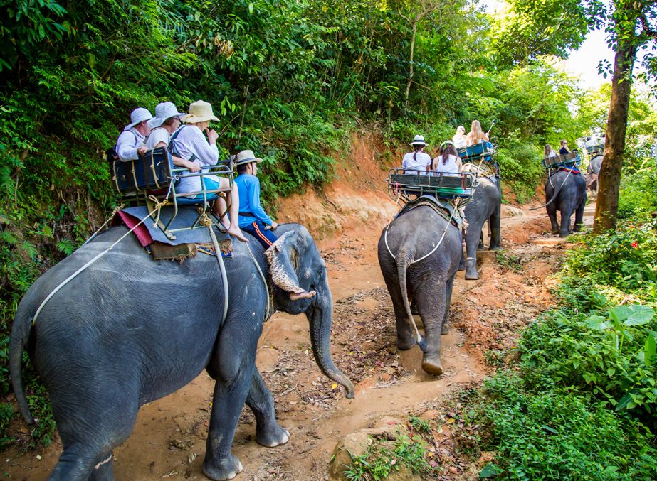 Thailand in June Weather, Things to do, Places to Visit