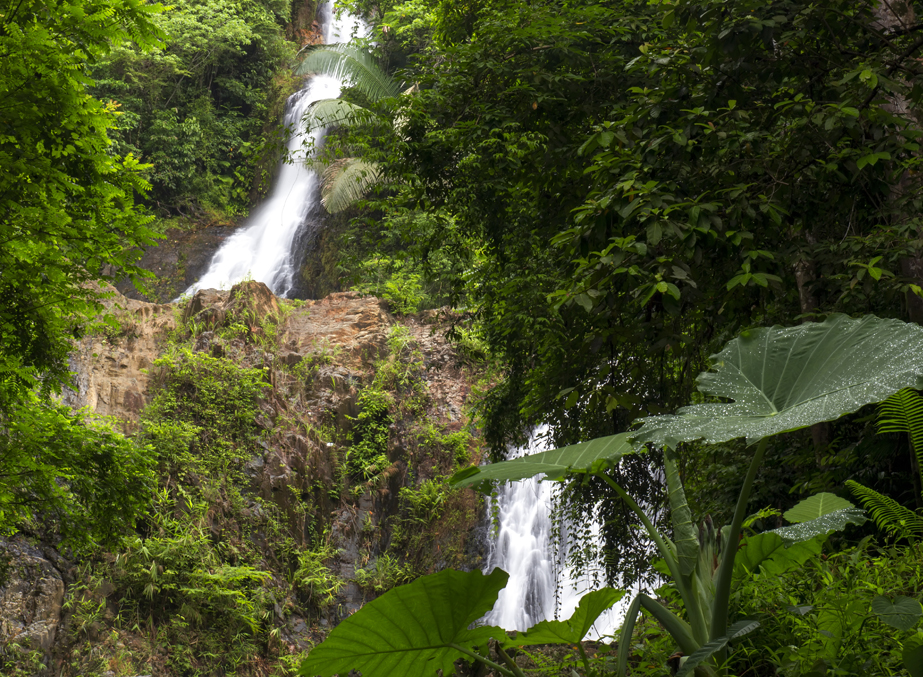 Khao Phrae Thaeo Wildlife Park