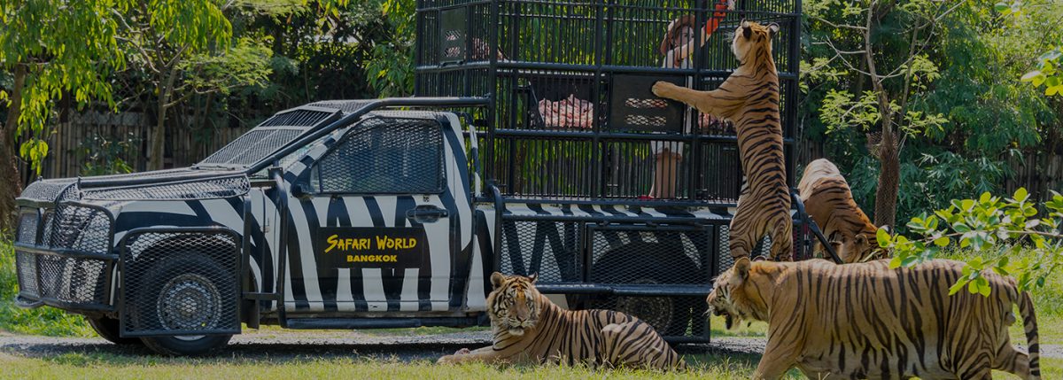 Safari World & Marine Park in Bangkok - Thailand Tourism