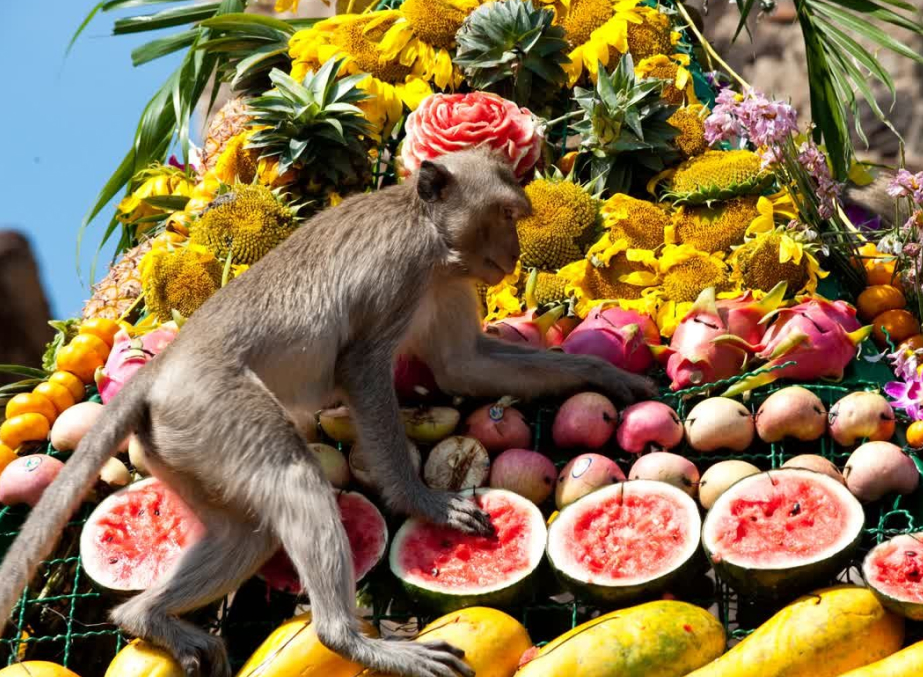 Lopburi Monkey Festival