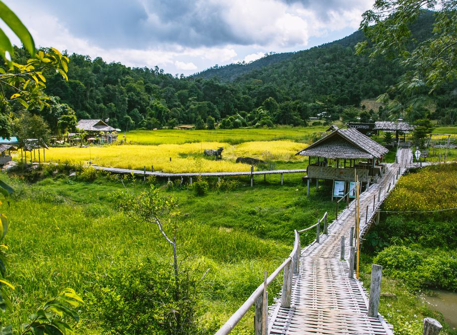 Bamboo Bridge 2