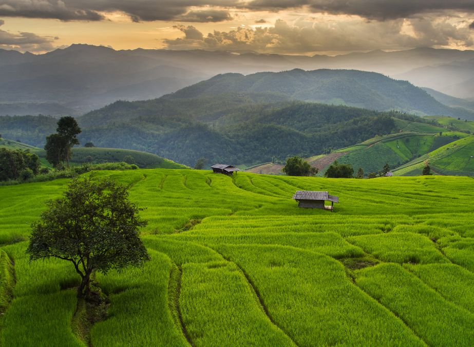 Chiang Mai