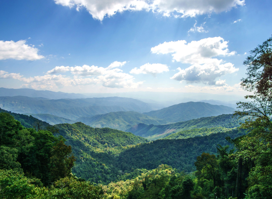 Explore Doi Phu Nang National Park